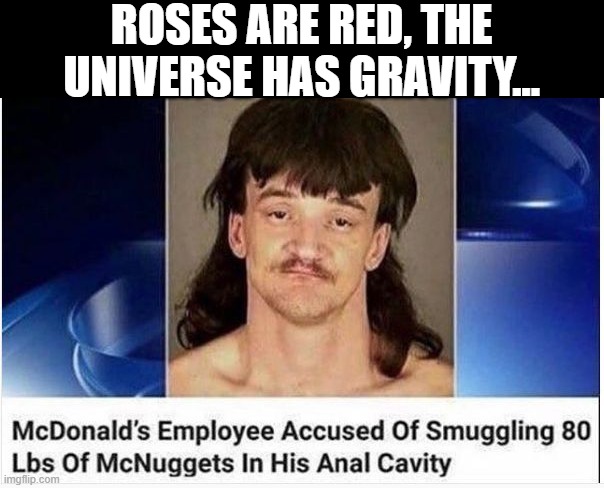 Smuggling | ROSES ARE RED, THE UNIVERSE HAS GRAVITY... | image tagged in dark humor | made w/ Imgflip meme maker