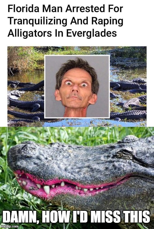 Gaytor | DAMN, HOW I'D MISS THIS | image tagged in gator lipstick | made w/ Imgflip meme maker
