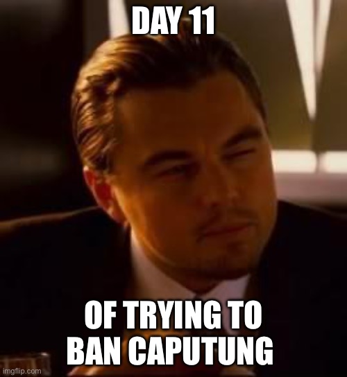 After the big day | DAY 11; OF TRYING TO BAN CAPUTUNG | image tagged in inception,banana | made w/ Imgflip meme maker