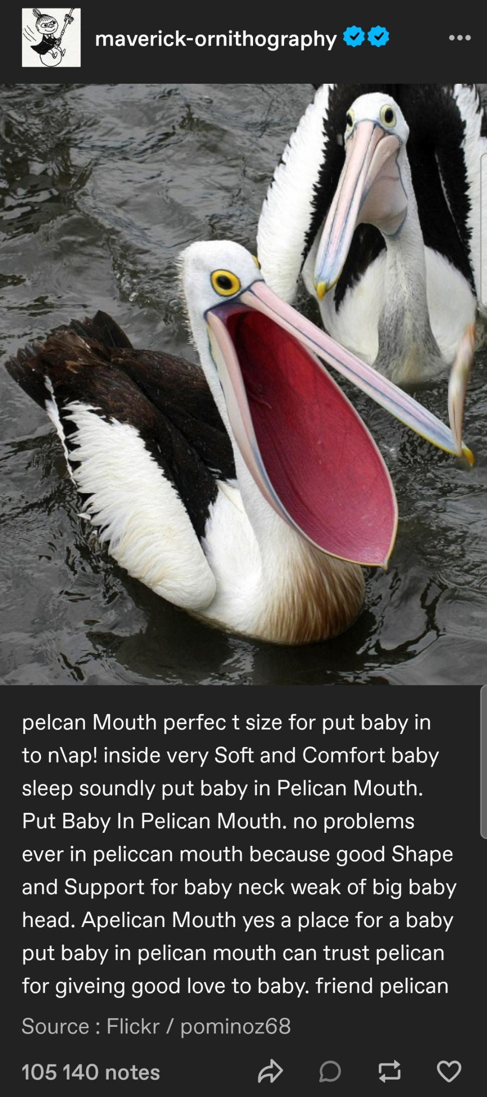 Baby in Pelican Mouth Blank Meme Template