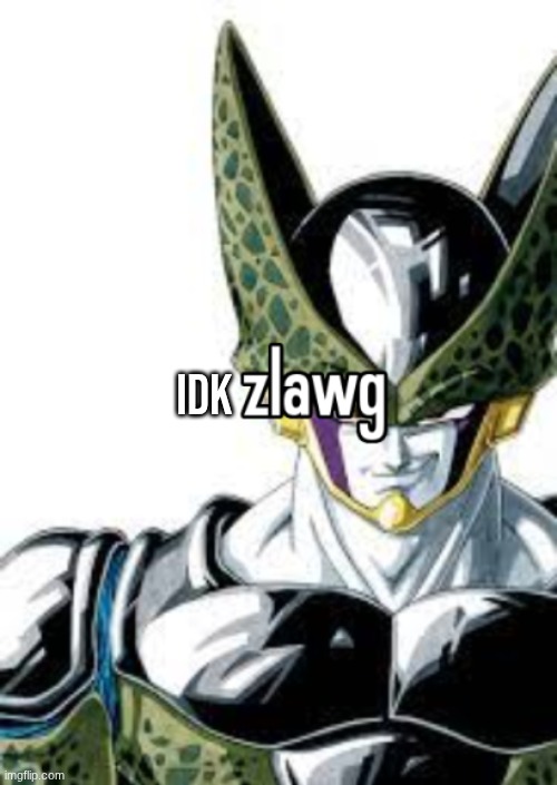 ok zlawg | IDK | image tagged in ok zlawg | made w/ Imgflip meme maker