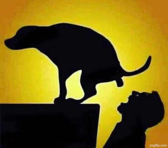 dog pooping in mouth | image tagged in dog pooping in mouth | made w/ Imgflip meme maker