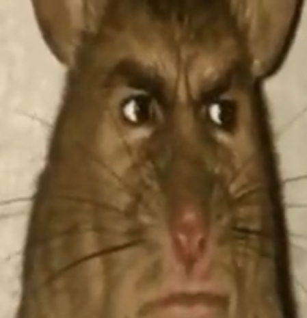 bitch what Blank Meme Template