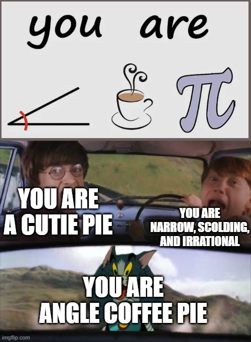 Harry Potter and Ron Screaming Meme | YOU ARE A CUTIE PIE; YOU ARE NARROW, SCOLDING, AND IRRATIONAL; YOU ARE ANGLE COFFEE PIE | image tagged in harry potter and ron screaming meme | made w/ Imgflip meme maker