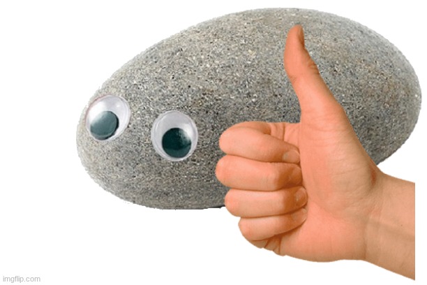 Pet rock | image tagged in pet rock | made w/ Imgflip meme maker
