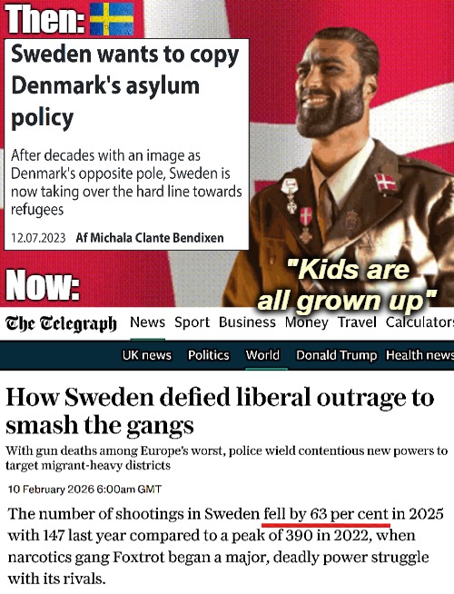 Still their new EU critical party is polling higher than the Conservatives. I take it they've figured out the root cause | "Kids are all grown up" | image tagged in immigration,denmark,europe,sweden | made w/ Imgflip meme maker