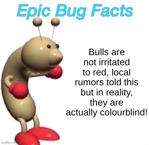 Fun Fact! | Bulls are not irritated to red, local rumors told this but in reality, they are actually colourblind! | image tagged in epic bug facts | made w/ Imgflip meme maker