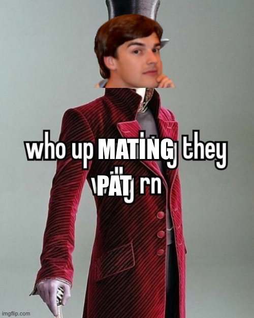 Mating they Pat | image tagged in mating they pat | made w/ Imgflip meme maker