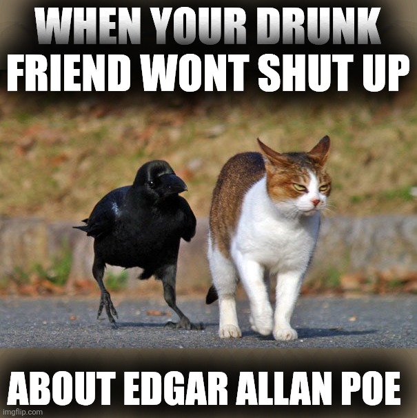 Crow and Cat | WHEN YOUR DRUNK FRIEND WONT SHUT UP; ABOUT EDGAR ALLAN POE | image tagged in crow and cat | made w/ Imgflip meme maker