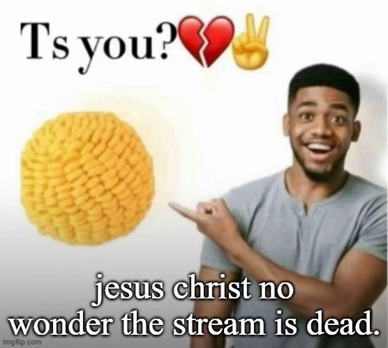 ts you? | jesus christ no wonder the stream is dead. | image tagged in ts you | made w/ Imgflip meme maker