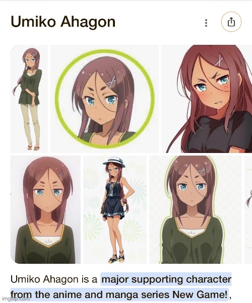 Guys, I figured it out! Her name is Umiko Ahagon from the show New Game! | image tagged in anime,fun fact,fun,video games | made w/ Imgflip meme maker