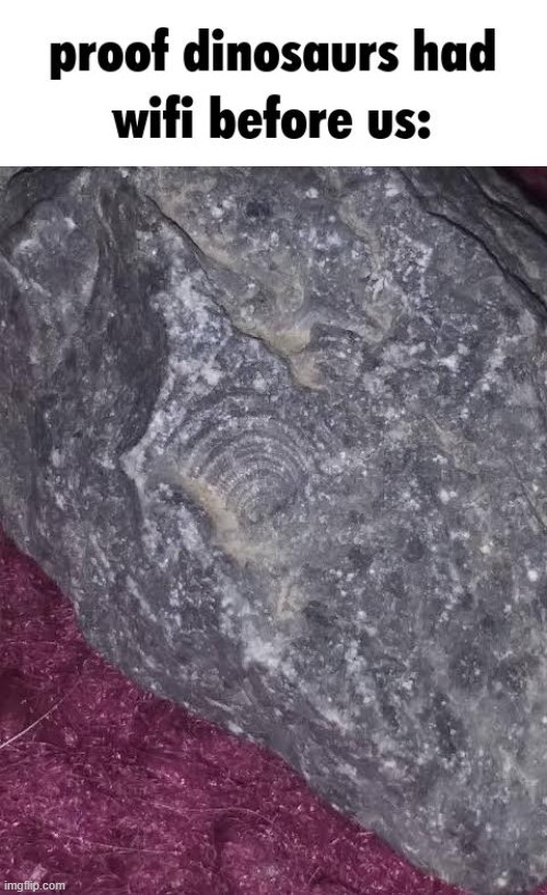 XDDD | image tagged in funny,memes,dinosaurs,dinosaur,wifi | made w/ Imgflip meme maker