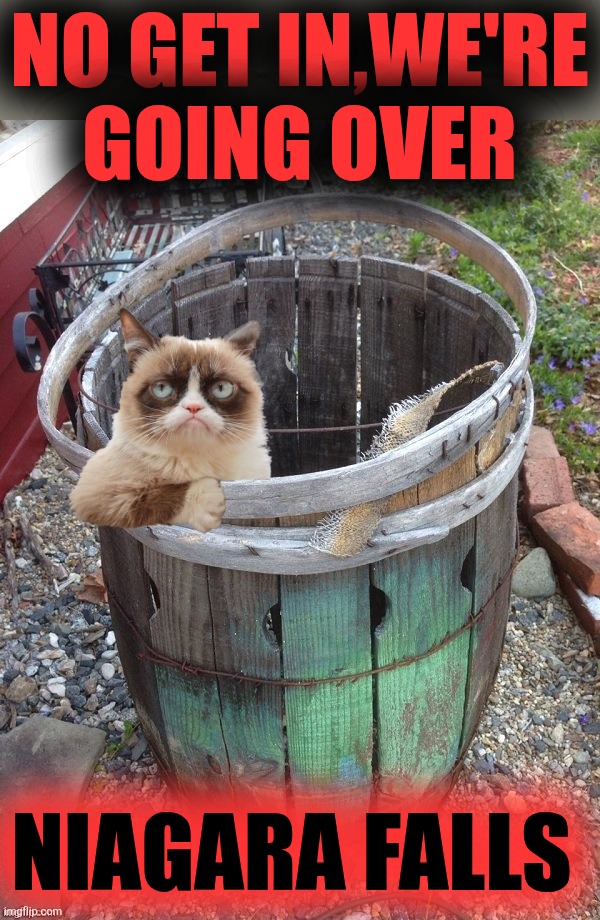 Grumpy Cat Barrel | NO GET IN,WE'RE
GOING OVER NIAGARA FALLS | image tagged in grumpy cat barrel | made w/ Imgflip meme maker