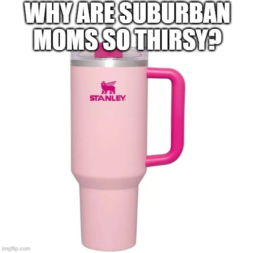 Stanley cup | WHY ARE SUBURBAN MOMS SO THIRSY? | image tagged in stanley cup | made w/ Imgflip meme maker