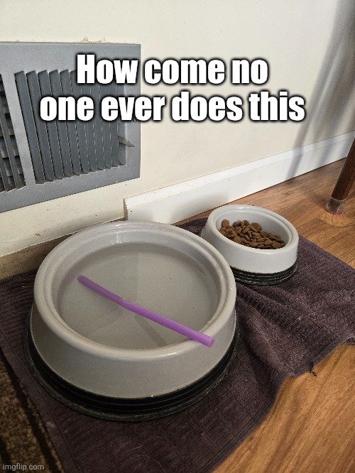 It would make my dogs life so much easier I dont understand | How come no one ever does this | image tagged in water,dogs,straw,life hacks,look,smart | made w/ Imgflip meme maker