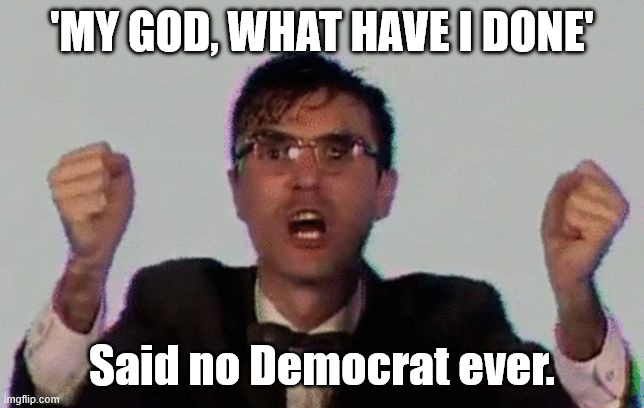 TALKING HEADS | 'MY GOD, WHAT HAVE I DONE' Said no Democrat ever. | image tagged in talking heads | made w/ Imgflip meme maker