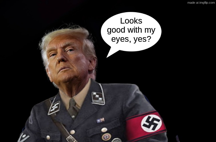 "I look sharp as a Nazi!" | Looks good with my eyes, yes? | image tagged in nazi,trump,uniform | made w/ Imgflip meme maker