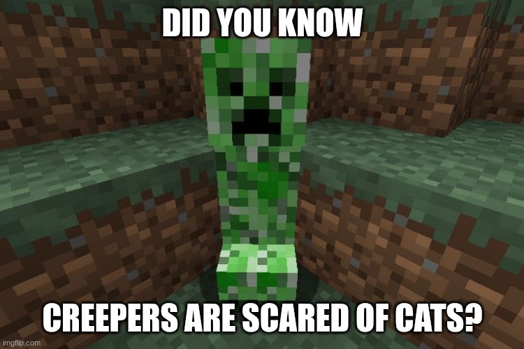 creeper aww man | DID YOU KNOW; CREEPERS ARE SCARED OF CATS? | image tagged in creeper aww man | made w/ Imgflip meme maker