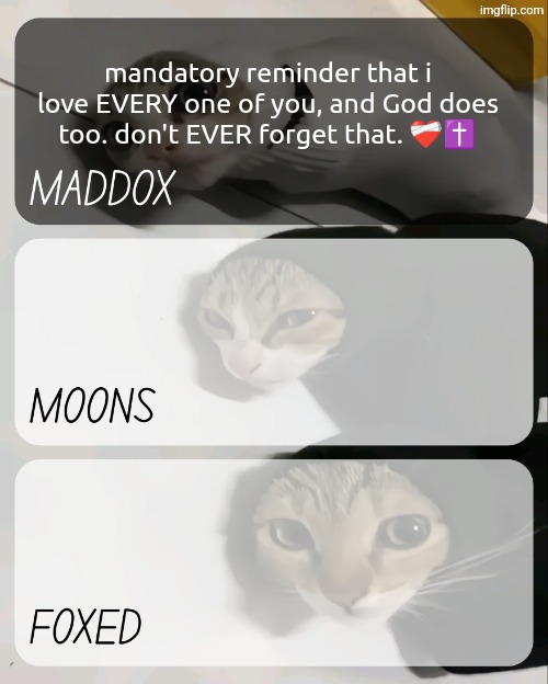 maddox, moons, n foxed kitty temp | mandatory reminder that i love EVERY one of you, and God does too. don't EVER forget that. ❤️‍🩹✝️ | image tagged in maddox moons n foxed kitty temp | made w/ Imgflip meme maker