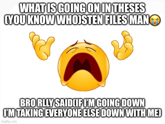 bro whyyyyyyy! | WHAT IS GOING ON IN THESES (YOU KNOW WHO)STEN FILES MAN😭; BRO RLLY SAID(IF I’M GOING DOWN I’M TAKING EVERYONE ELSE DOWN WITH ME) | image tagged in blank white template | made w/ Imgflip meme maker