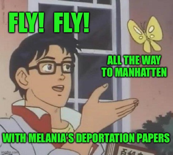 Is This A Pigeon Meme | FLY!  FLY! ALL THE WAY TO MANHATTEN; WITH MELANIA’S DEPORTATION PAPERS | image tagged in memes,is this a pigeon | made w/ Imgflip meme maker
