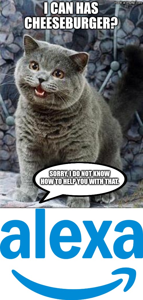 alexa, u CAN get me has cheezburger! | I CAN HAS CHEESEBURGER? SORRY, I DO NOT KNOW HOW TO HELP YOU WITH THAT. | image tagged in i can has cheezburger cat,alexa,sorry | made w/ Imgflip meme maker