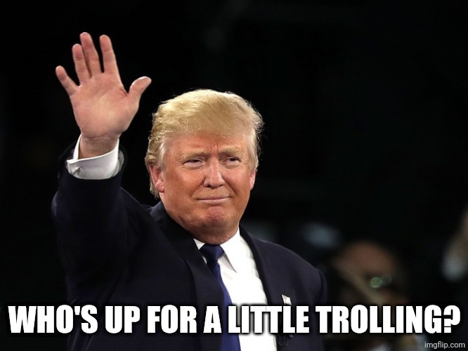 link to the post is in the comments | WHO'S UP FOR A LITTLE TROLLING? | image tagged in trump raising hand | made w/ Imgflip meme maker