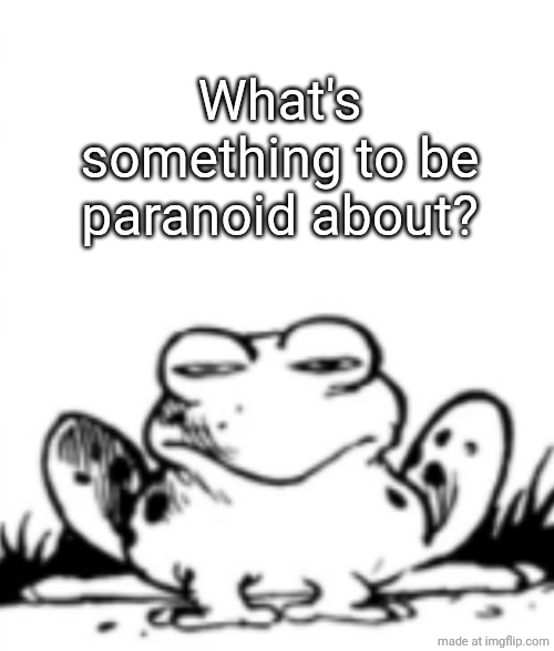The Ever Judgemental Frog | What's something to be paranoid about? | image tagged in the ever judgemental frog | made w/ Imgflip meme maker