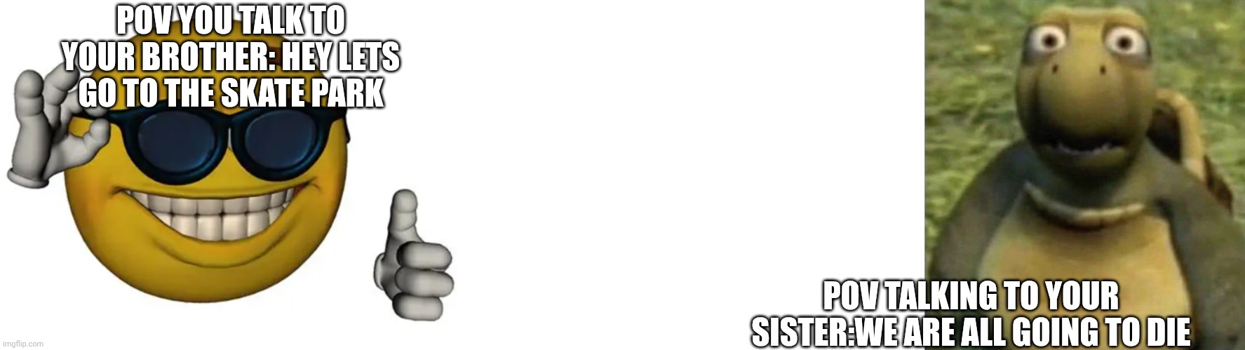 Telling your sister we are all going to die | POV YOU TALK TO YOUR BROTHER: HEY LETS GO TO THE SKATE PARK; POV TALKING TO YOUR SISTER:WE ARE ALL GOING TO DIE | image tagged in cool to all hell na | made w/ Imgflip meme maker