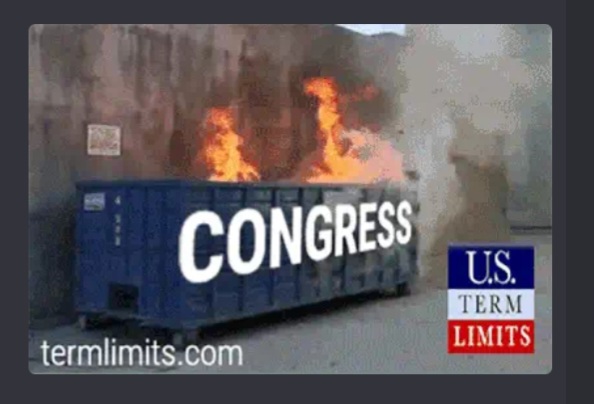 Congress is a dumpster fire Blank Meme Template