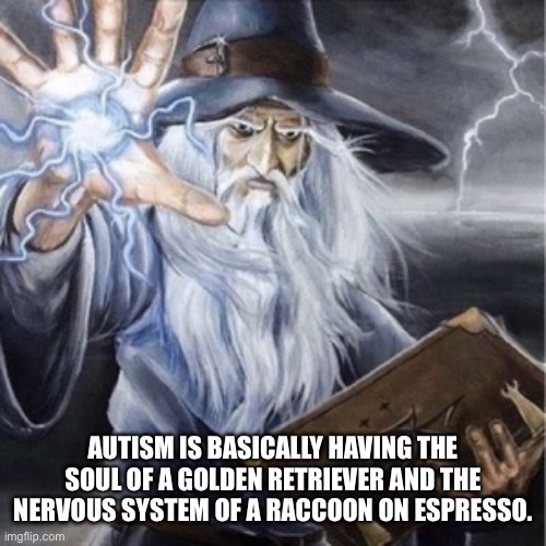 Autism is | AUTISM IS BASICALLY HAVING THE SOUL OF A GOLDEN RETRIEVER AND THE NERVOUS SYSTEM OF A RACCOON ON ESPRESSO. | image tagged in wizard casting,autism,caffeine,golden retriever,raccoon | made w/ Imgflip meme maker