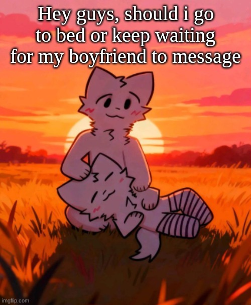 That0neguy announcement temp | Hey guys, should i go to bed or keep waiting for my boyfriend to message | made w/ Imgflip meme maker