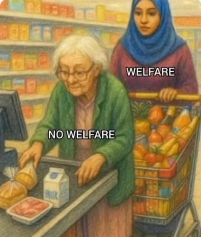 Welfare & Food Stamps & shopping cart Blank Meme Template