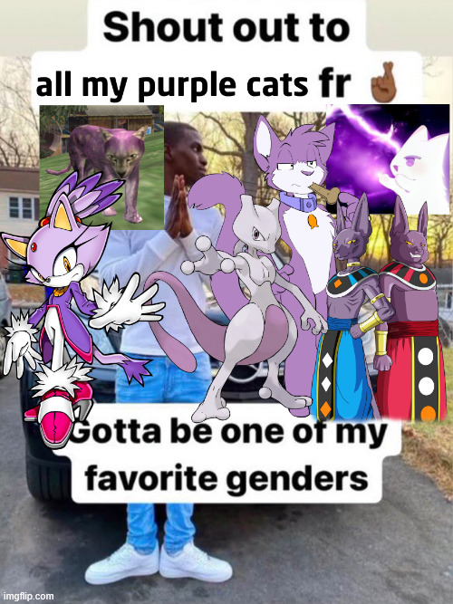 Who likes their cats purple? | image tagged in shout out to gotta be one of my favorite genders,purple,cats,guess who each of them are | made w/ Imgflip meme maker