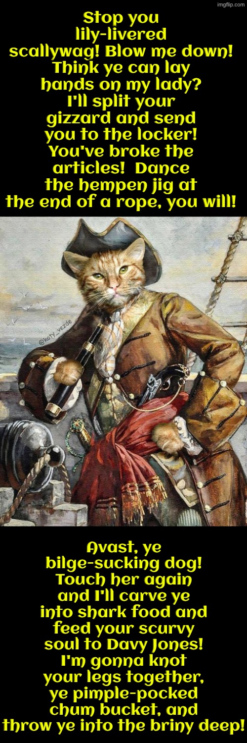 Ye Pimple-Pocked Chum Bucket | Stop you lily-livered scallywag! Blow me down! Think ye can lay hands on my lady? I'll split your gizzard and send you to the locker! You've broke the articles!  Dance the hempen jig at the end of a rope, you will! Avast, ye bilge-sucking dog! Touch her again and I'll carve ye into shark food and feed your scurvy soul to Davy Jones! I'm gonna knot your legs together, ye pimple-pocked chum bucket, and throw ye into the briny deep! | image tagged in cats,medieval memes,pirates,insults,so you have chosen death,funny cat memes | made w/ Imgflip meme maker