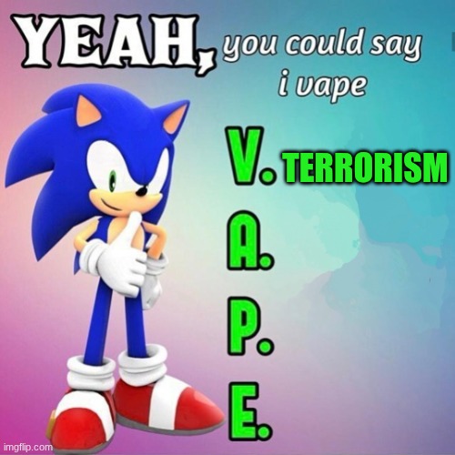 Yeah you could say I vape sonic | TERRORISM | image tagged in yeah you could say i vape sonic | made w/ Imgflip meme maker