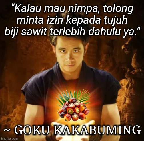 "Kalau mau nimpa, tolong minta izin kepada tujuh biji sawit terlebih dahulu ya."; ~ GOKU KAKABUMING | image tagged in memes,silly,balls | made w/ Imgflip meme maker