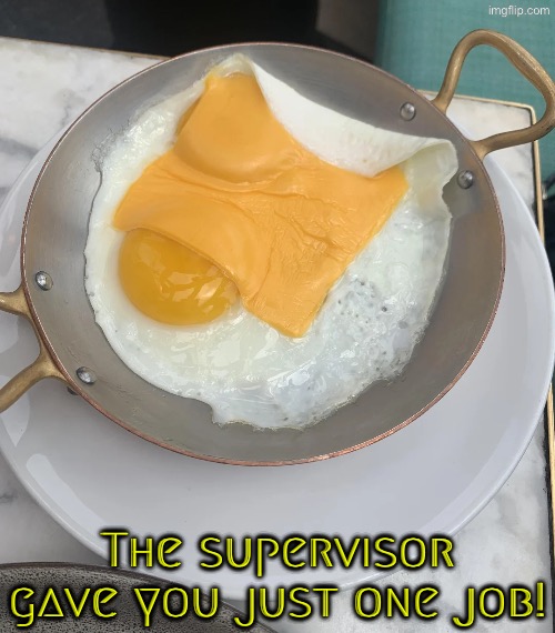 Omelet Fail | The supervisor gave you just one job! | image tagged in you had one job,task failed successfully,epic fail,do you are have stupid,duhhh dumbass,you're fired | made w/ Imgflip meme maker