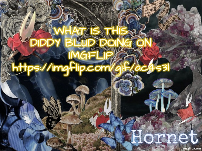 check this out please | WHAT IS THIS DIDDY BLUD DOING ON IMGFLIP https://imgflip.com/gif/ac4s3l | image tagged in hornet announcement temp | made w/ Imgflip meme maker