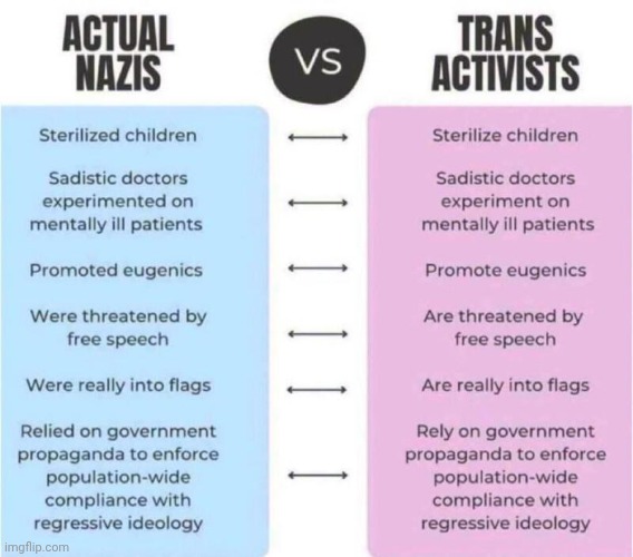 Trans Activists  are nazis Blank Meme Template