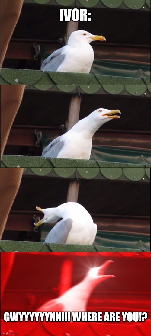 Inhaling Seagull Meme | IVOR: GWYYYYYYNN!!! WHERE ARE YOU!? | image tagged in memes,inhaling seagull | made w/ Imgflip meme maker