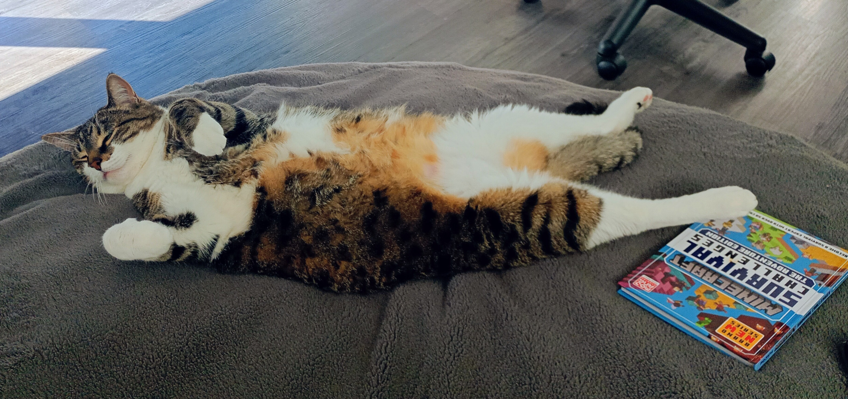 Fat Wyatt Blank Meme Template