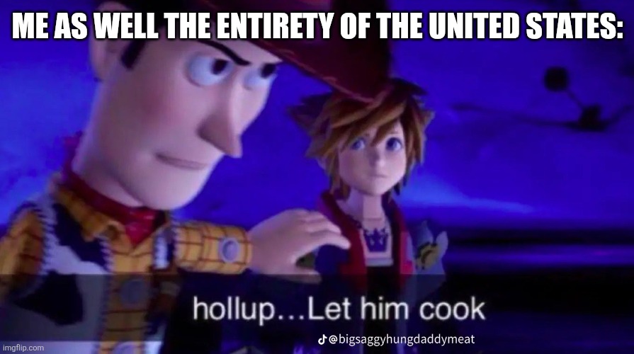 ME AS WELL THE ENTIRETY OF THE UNITED STATES: | image tagged in holl up let him cook | made w/ Imgflip meme maker