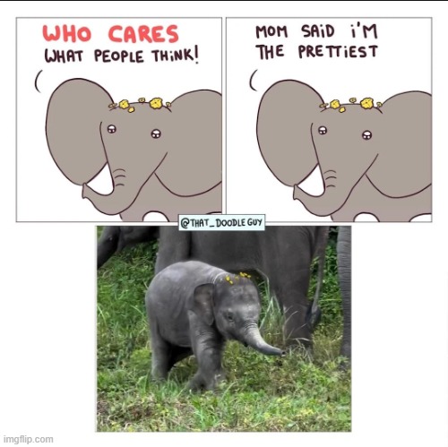 image tagged in elephant,flowers,mom,pretty,prettiest,so cute | made w/ Imgflip meme maker
