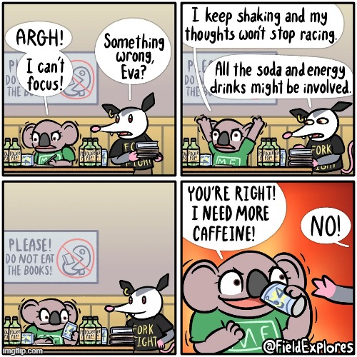 image tagged in possum,koala,focus,energy drinks,hyper,uh oh | made w/ Imgflip meme maker