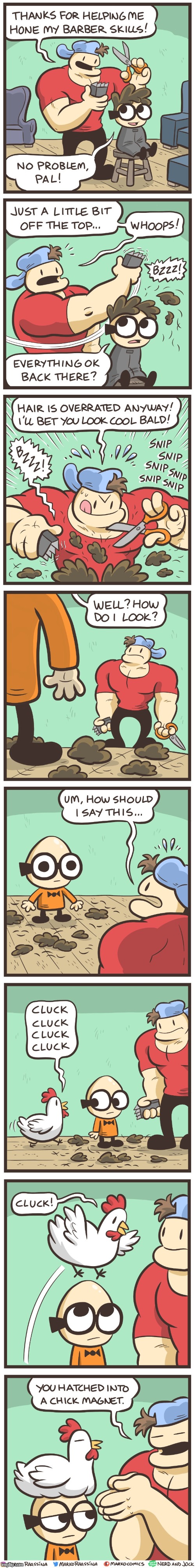 image tagged in jock,nerd,haircut,bald,egg,chicken | made w/ Imgflip meme maker