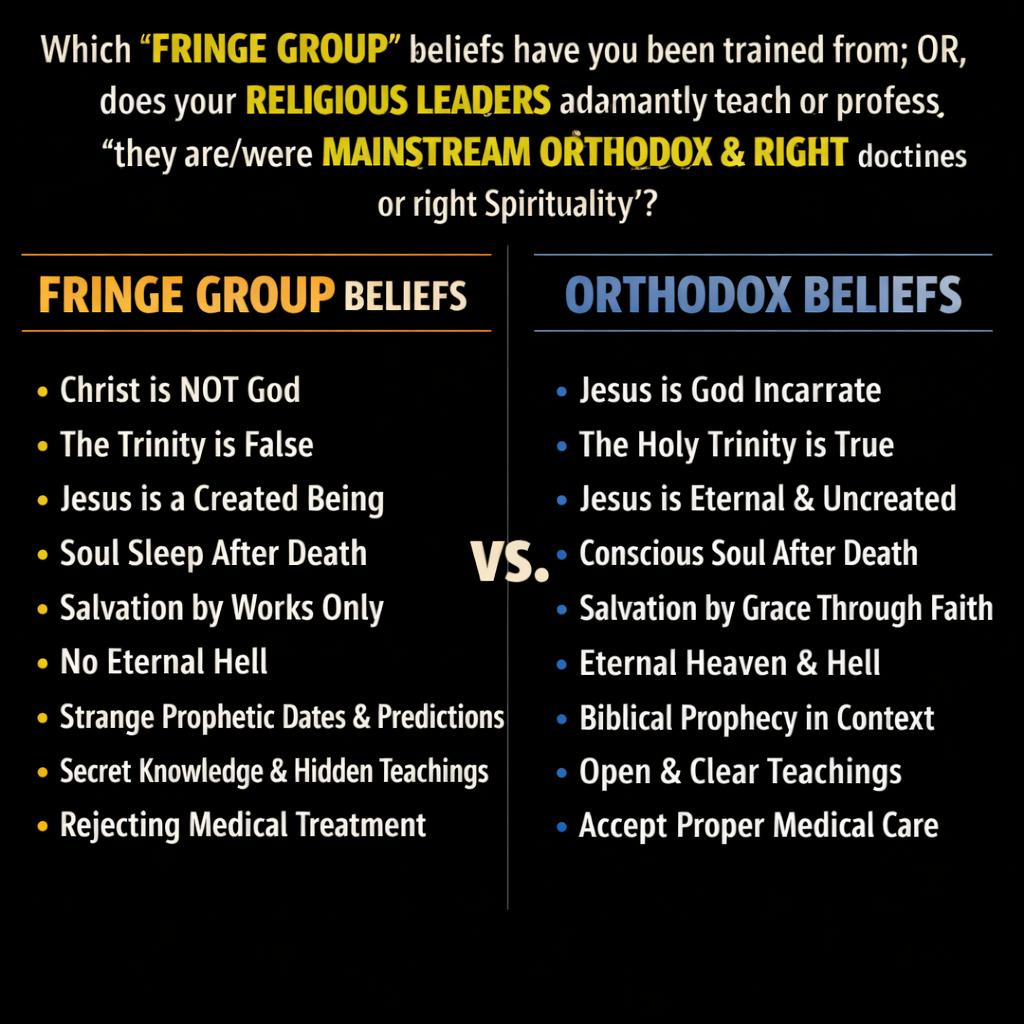 Which 'fringe group’ beliefs have you been trained from; OR, doe Blank Meme Template