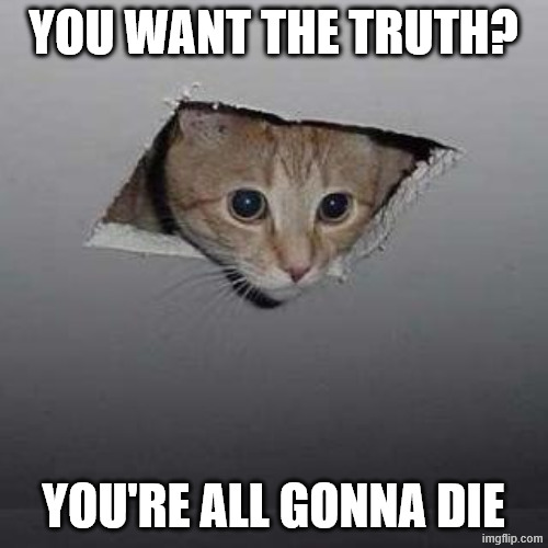 Ceiling Cat Meme | YOU WANT THE TRUTH? YOU'RE ALL GONNA DIE | image tagged in memes,ceiling cat | made w/ Imgflip meme maker