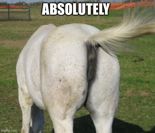 Horse's ass | ABSOLUTELY | image tagged in horse's ass | made w/ Imgflip meme maker