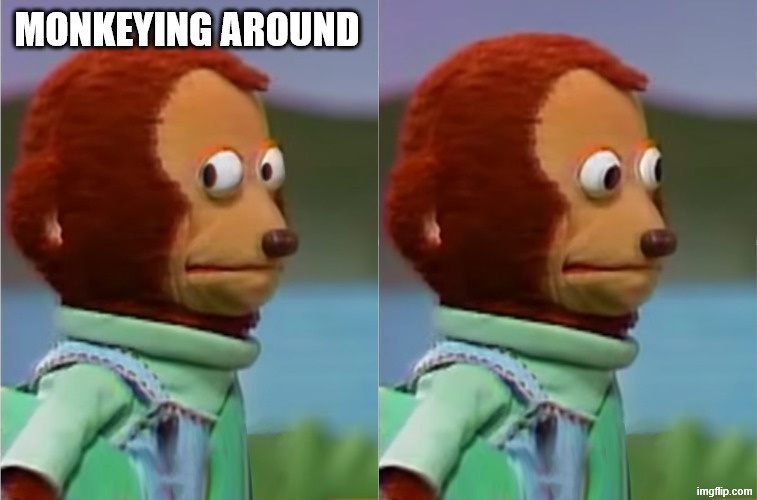 puppet Monkey looking away | MONKEYING AROUND | image tagged in puppet monkey looking away | made w/ Imgflip meme maker